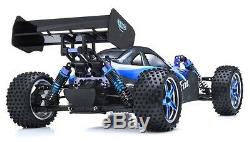 Exceed RC 1/10 2.4Ghz Brushless PRO Electric RTR Off Road Remote Control Buggy