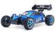 Exceed Rc 1/10 Electric Brushless Pro Race Rtr Remote Control Off Road Buggy