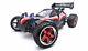 Exceed Rc 1/10 Electric Brushless Pro Race Rtr Remote Control Rc Off Road Buggy