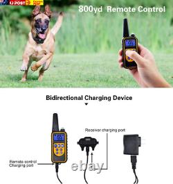 Waterproof Electric Dog Training Collar with Remote Control