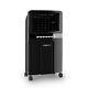 Air Cooler Portable Chambre Climatisation 4in1 Ventilateur 6l 65w Ioniseur Humidifier Noir
