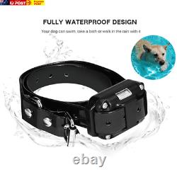 Collier de dressage électrique pour chien étanche avec télécommande